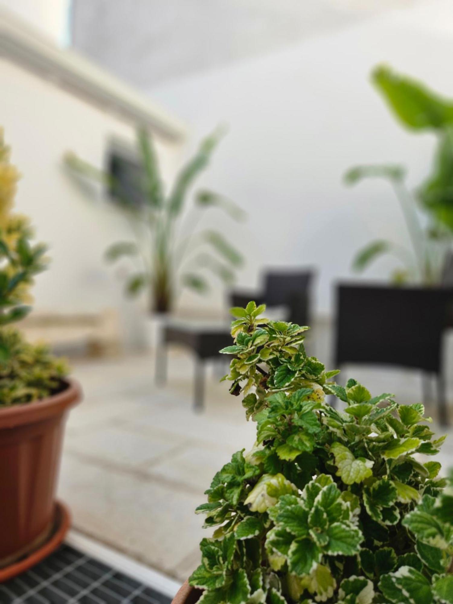 B&B La Campana Salentina Galatone Exterior photo
